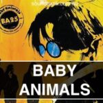 Baby Animals