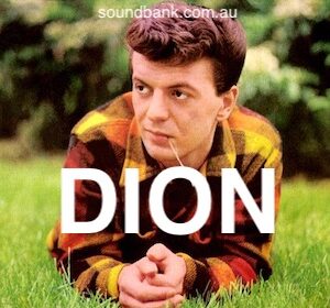 THE WANDERER - Dion