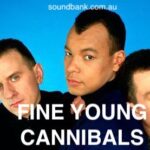 Fine Young Cannibals