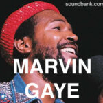 Marvin Gaye
