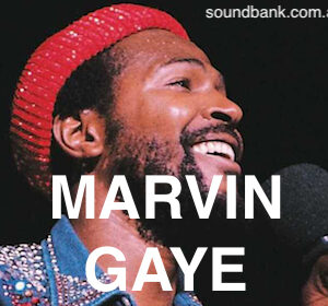 I HEARD IT THROUGH THE GRAPEVINE - Marvin Gaye