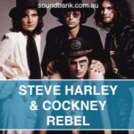 Steve Harley