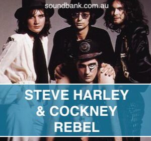MAKE ME SMILE (COME UP & SEE ME) - Steve Harley