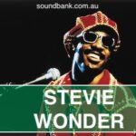 Stevie Wonder