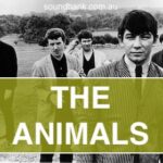 The Animals