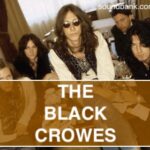 The Black Crowes
