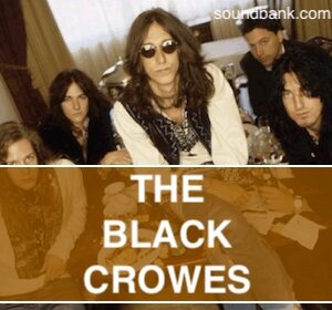 HARD TO HANDLE - The Black Crowes