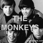 The Monkeys