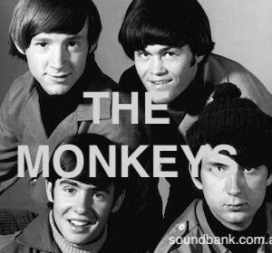 I'M A BELIEVER - The Monkeys