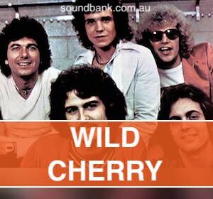 PLAY THAT FUNKY MUSIC - Wild Cherry