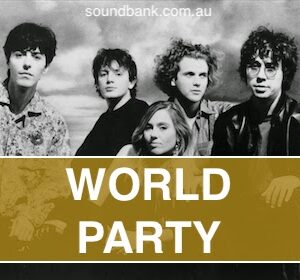 SHIP OF FOOLS - World Party